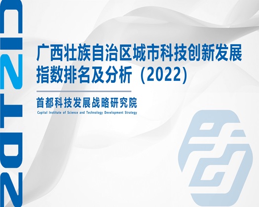 操BXX在线观看【成果发布】广西壮族自治区城市科技创新发展指数排名及分析（2022）